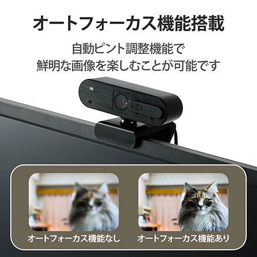 スマートオフィス】WEBカメラ 200万画素 オート UCAM-C820ABBK