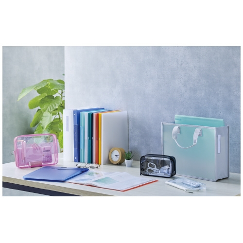 (まとめ)LIHITLAB クリヤーブック10P N8100-3 赤 (×30セット)