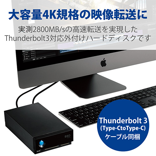 スマートオフィス】1big Dock SSD Pro 4TB STHW4000800 エレコム