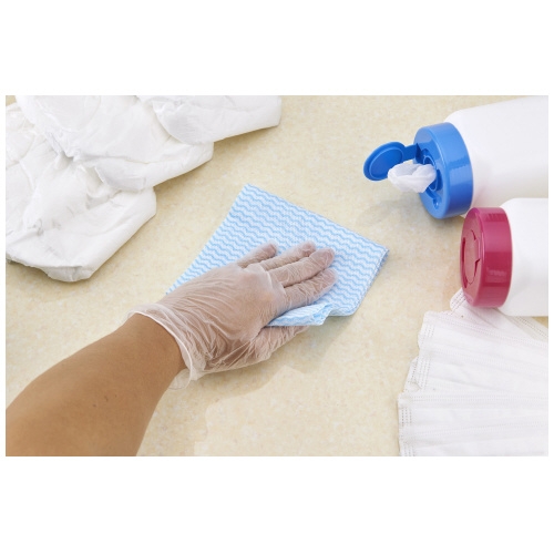 ショーワグローブ つかいきりグローブ 半透明L 100枚X24箱 ショーワグローブ つかいきりグローブ 半透明L 100枚X24箱 ショーワ