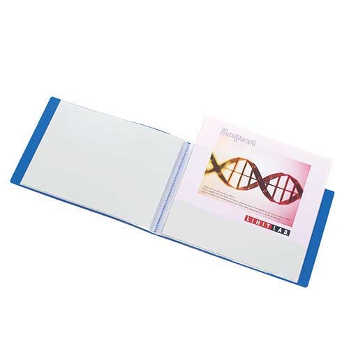 (まとめ) リヒトラブ リクエスト クリヤーブック(クリアブック) A4タテ 40ポケット 背幅32mm 緑 G3202-7 1冊 〔×10セット〕 まとめ) リヒトラブ リクエスト クリヤーブック(クリアブック) A4タテ