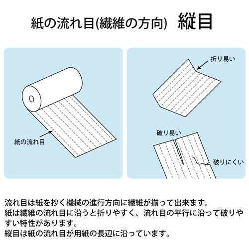 コウヘイページ コウペンちゃん 300ピース マジカルピース-ライト（300-ML08 カラフル