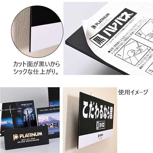 黒ハレパネ | プラチナ万年筆