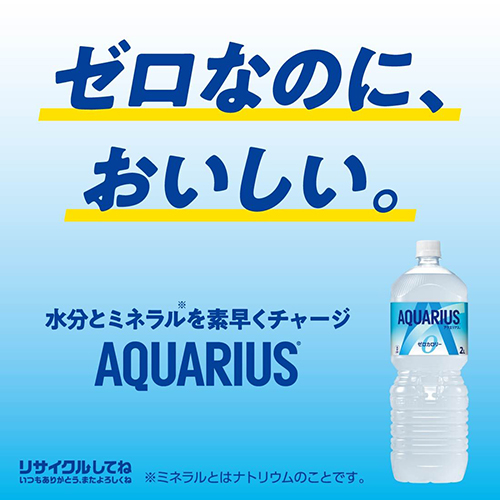 スマートオフィス】※アクエリアスゼロPET 500mL 24本 コカ・コーラ