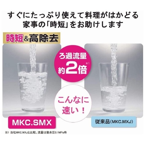 【新品カートリッチ付き】トレビーノ　カセッティ206SMX