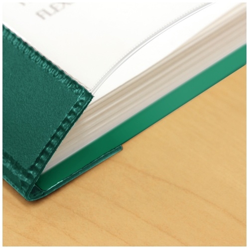 (業務用100セット) プラス レポートファイル NO.30 A4S ブルー 代引不可 業務用100セット) プラス レポートファイル NO.30 A4S グリーン