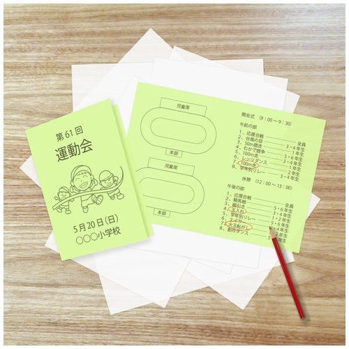 スマートオフィス】△マルチカラー紙CW-620C A4 うぐいす500枚 大王製紙