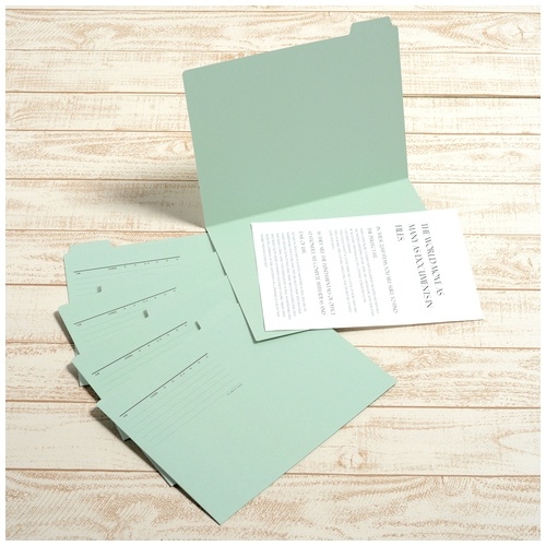 スマートオフィス】△カットフォルダー 5山 FL-065IF A4 青 プラス