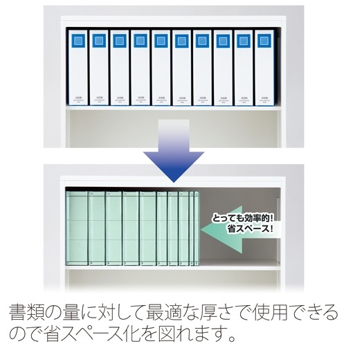 スマートオフィス】背幅伸縮セノバスエコノミーA4S FL021SE BL プラス