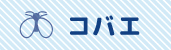 コバエ対策