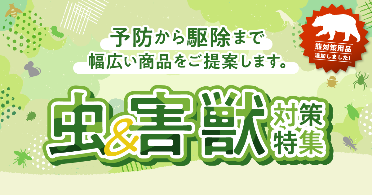 so_gaichu-taisaku_ogp.png